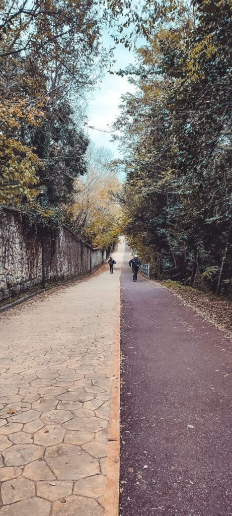 Tree-lined walkway in Tirana