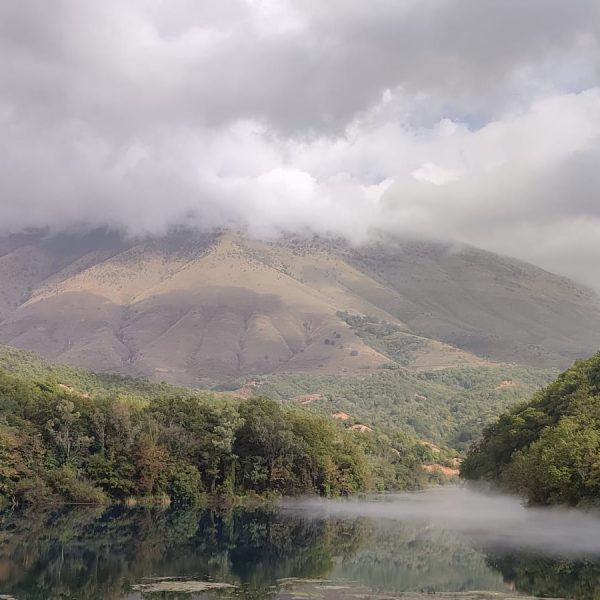 Tranquil mountain lake with mist hovering over the water and lush greenery reflecting on the surface, with cloud-covered hills in the background.